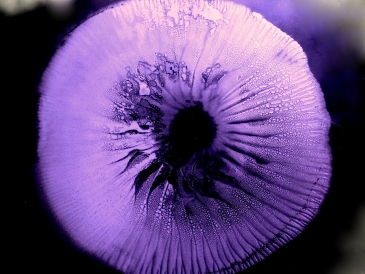 Sporen Printen